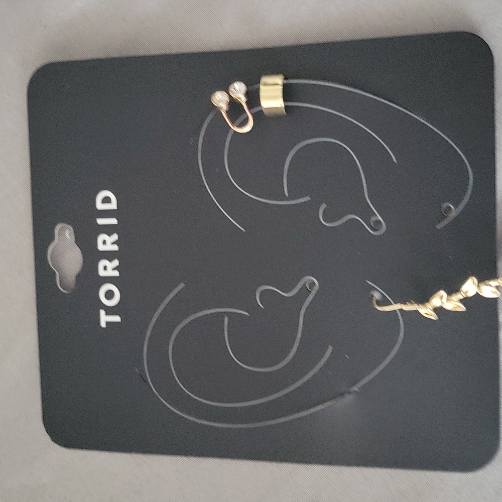 Earrings